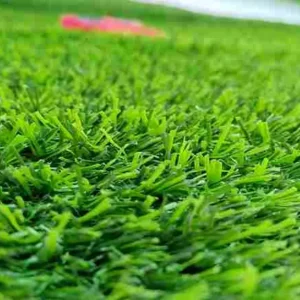 Rumput Sintetis Swiss Ketebalan 2,5cm : Rumput Sintetis Tebal