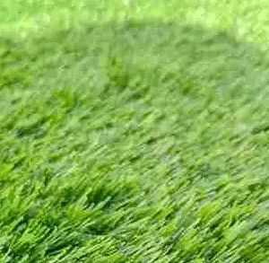Rumput Sintetis Swiss Ketebalan 3cm : Rumput Sintetis Tebal