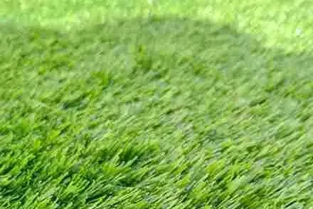 Rumput Sintetis Swiss Ketebalan 3cm : Rumput Sintetis Tebal