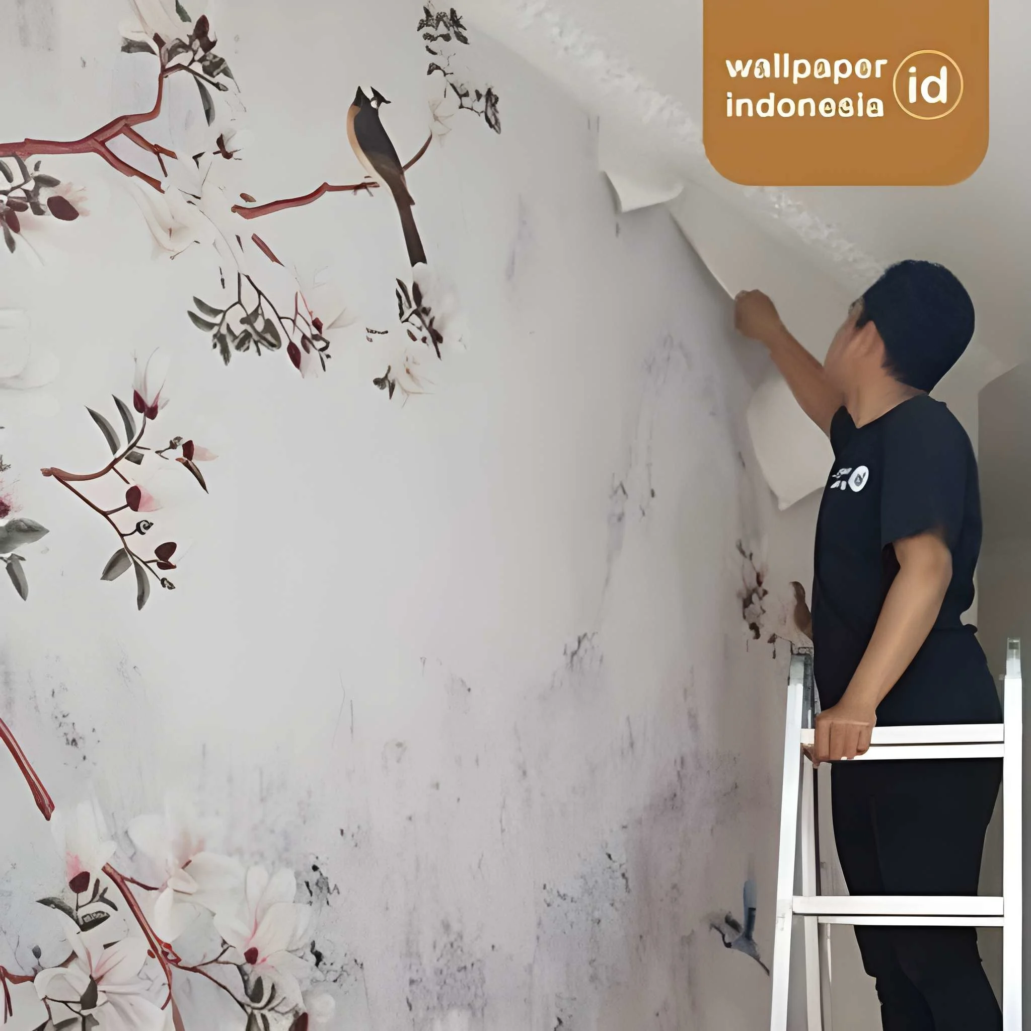 Ahli Pasang Wallpaper Interior
