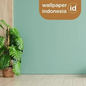 Perbandingan wallpaper dan cat dinding