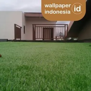 Perbandingan rumput sintetis dan asli