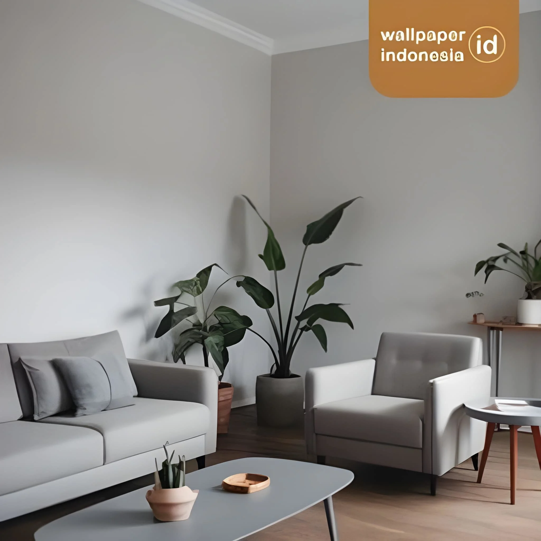 Wallpaper dinding polos elegan