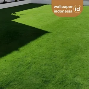 Inpirasi pemasangan rumput sintetis
