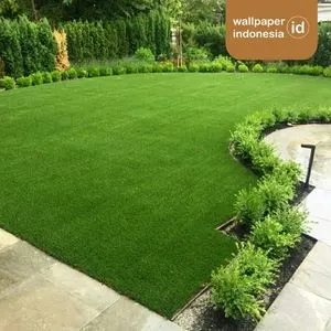 Tips perawatan rumput sintetis