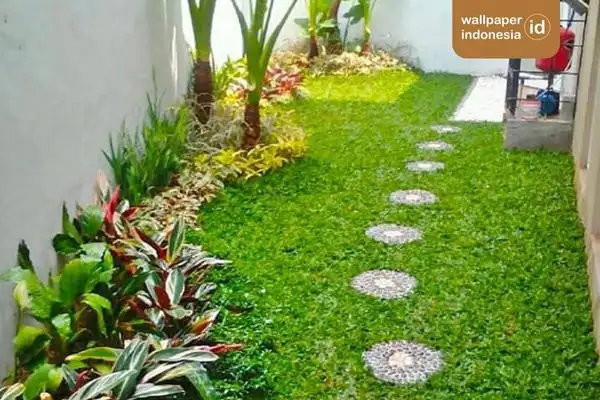 Tips perawatan rumput sintetis