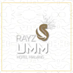 Rayz UMM