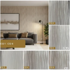 C12-1 - C12-6